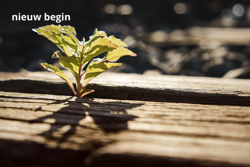 masseren keizersnede litteken masseren keizersnede litteken